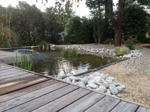 Pro Léman Services - Entretien paysager
