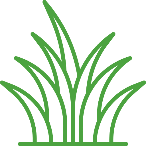 entretien extérieurs,taille,tonte,pelouse,arbustes,haies,nettoyage,Débroussaillage,massifs,balcons,Arrosage,Ramassage des feuilles,Scarifications,Déneigement,Bêchage,binage,Désherbage,fruitiers,rosiers,plantes grimpantes,allées,jardin