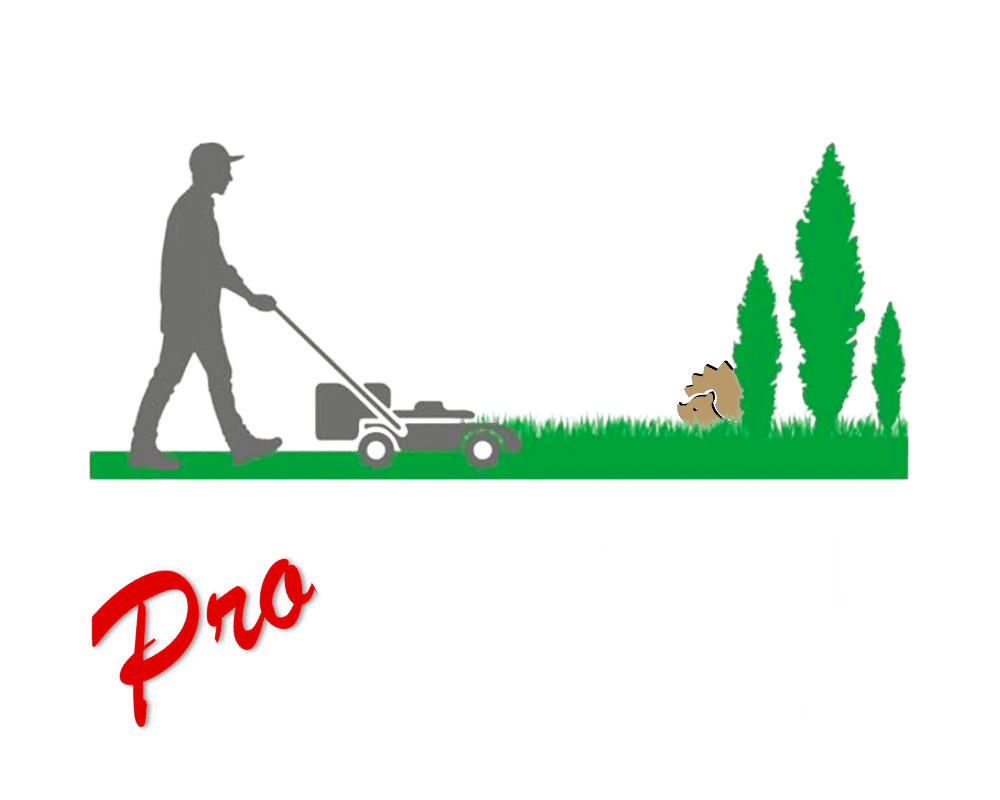 Pro Chablais Services