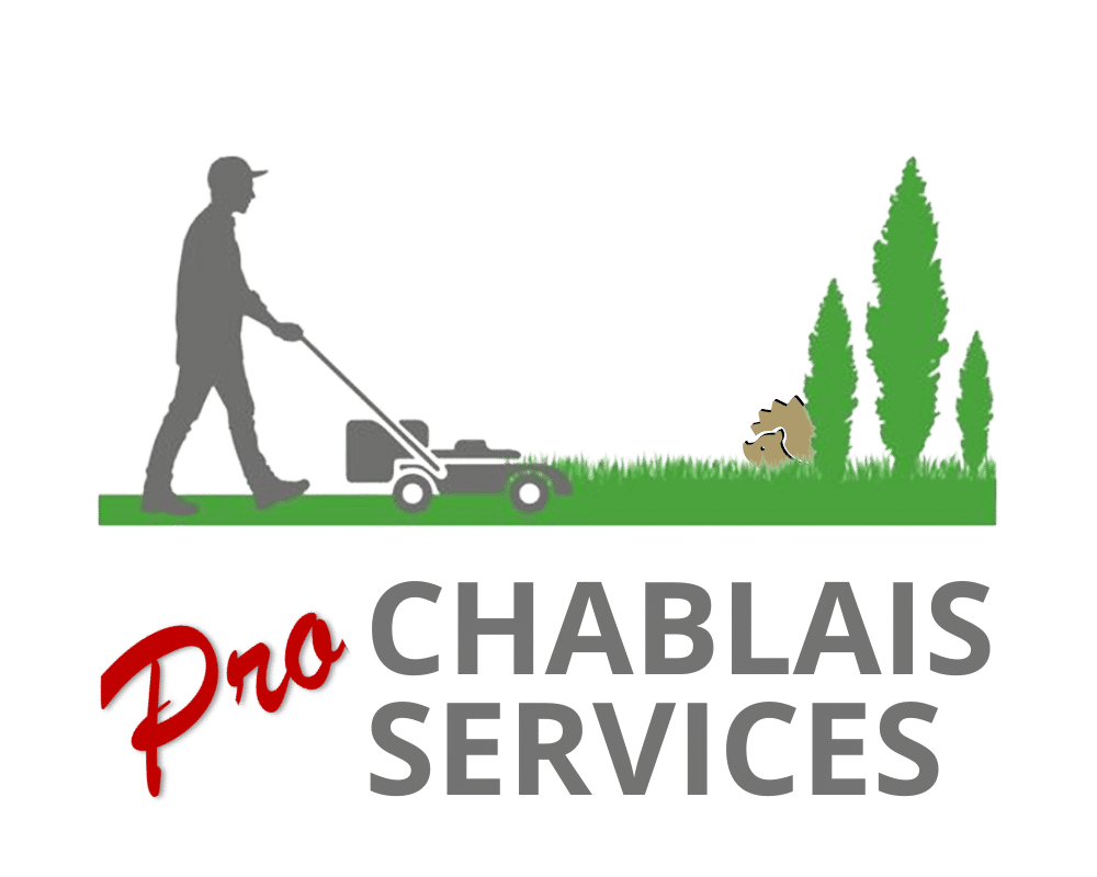 Logo Pro Chablais Services