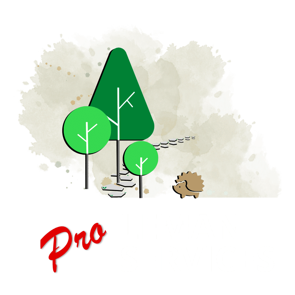PRO LEMAN SERVICES