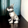 bouledogue argent cravatte lunettes h14cm les pros du paysage deco jardin (2)0 bouledogue argent cravatte lunettes h14cm les pros du paysage deco jardin (2)0