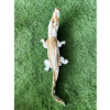 croco trash or l80cm les pros du paysage deco jardin (3)0 croco trash or l80cm les pros du paysage deco jardin (3)0